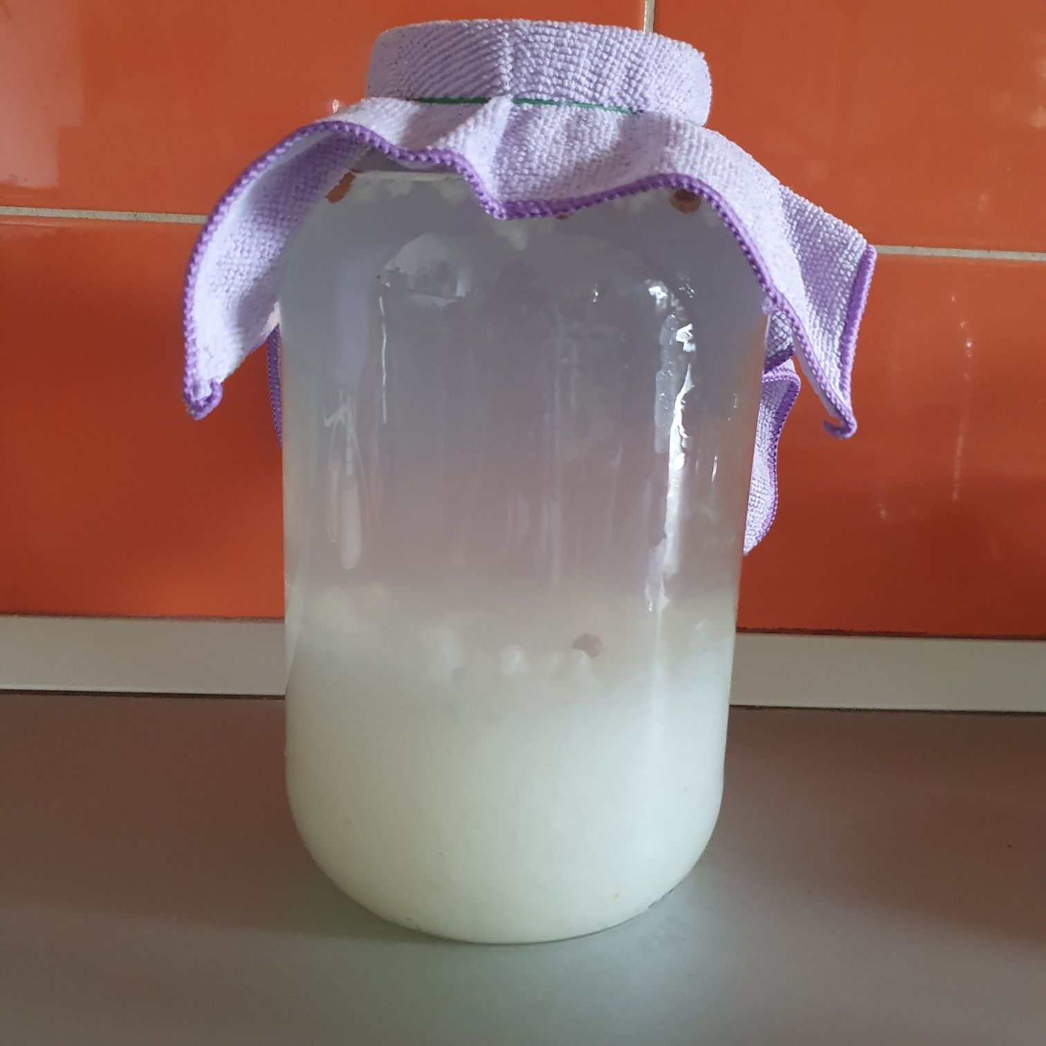 Vând cristale japoneze kefir de apa și ciuperca Kombucha pentru ceai