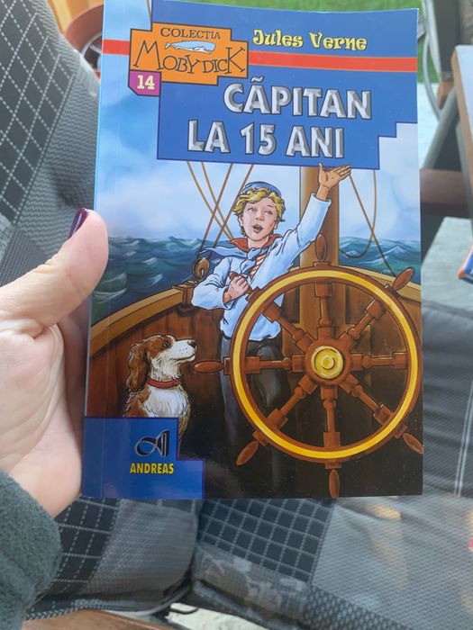 Cărți literatură română
