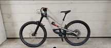 vand YT Capra Shred M
