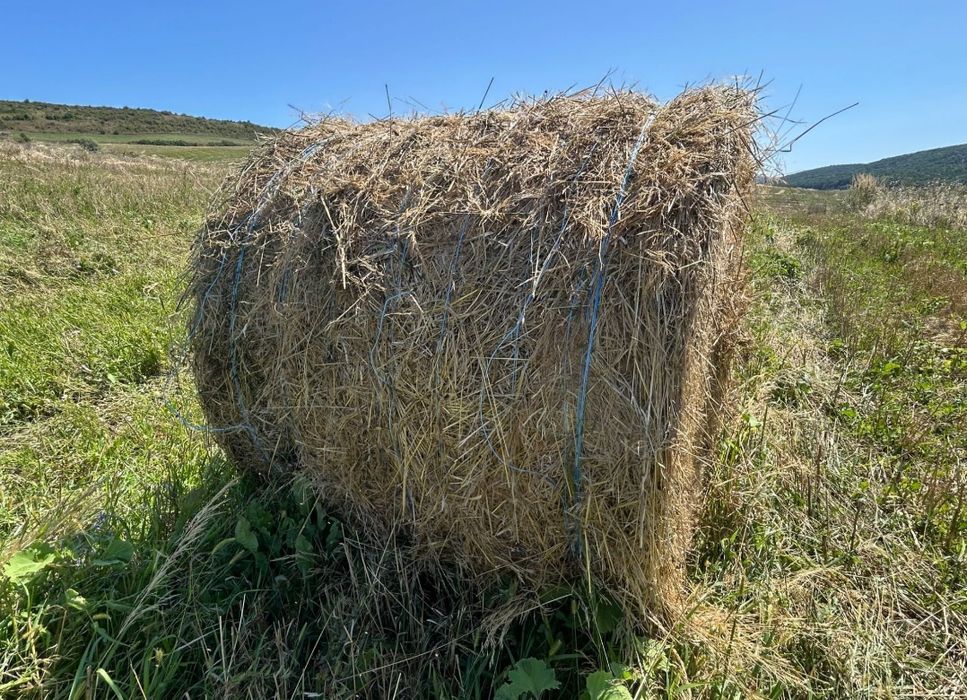 Baloți fân de vanzare