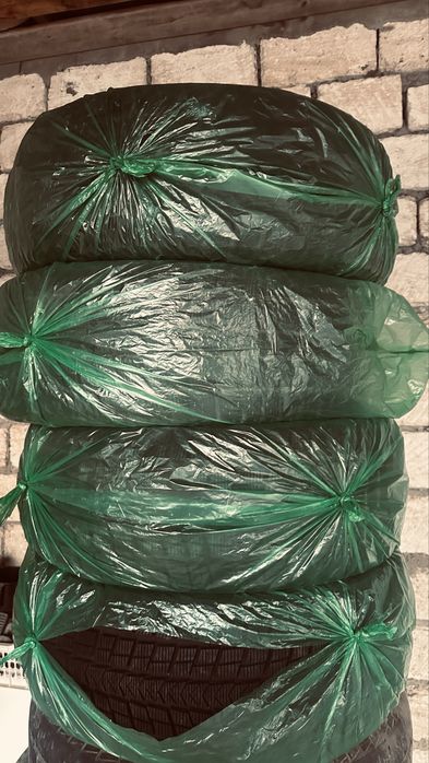 Зимние шишы. 285,60,18 продам