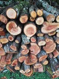 Vând lemne de foc - prun