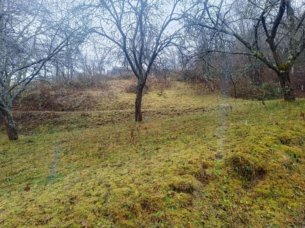 Продава се Парцел в с. Рибарица, Област Ловеч - 3000 кв.м за 6 €/кв.м - Снимка #2