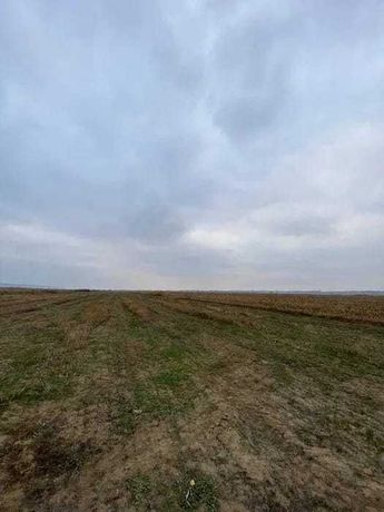 Vand teren arabil 5000mp extravilan, Călinești, Argeș, 4400 euro.