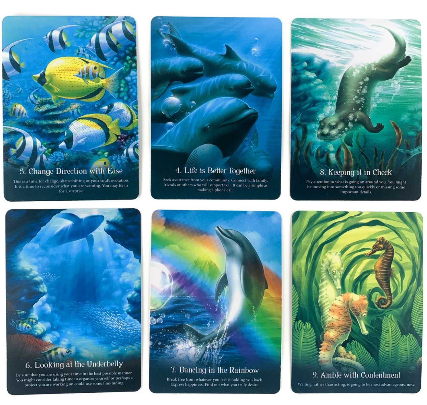 Divine Animals Oracle & Spirit Animal Wisdom & Whispers of the Ocean