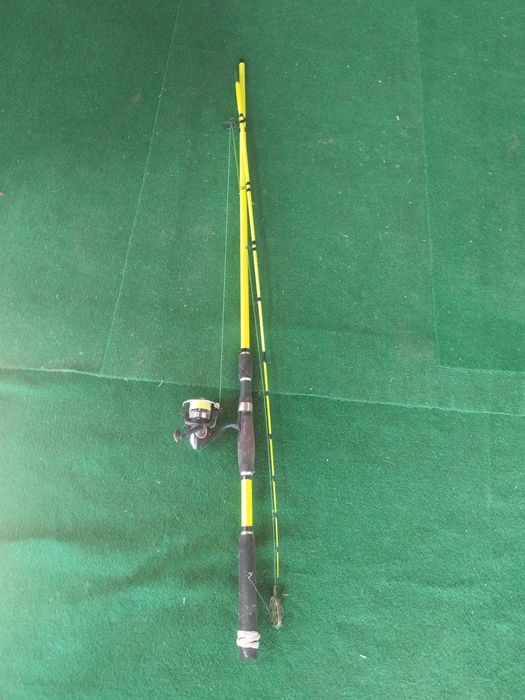 Vând undite urgent!!