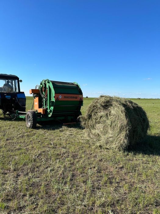 Продам сено в рулонах