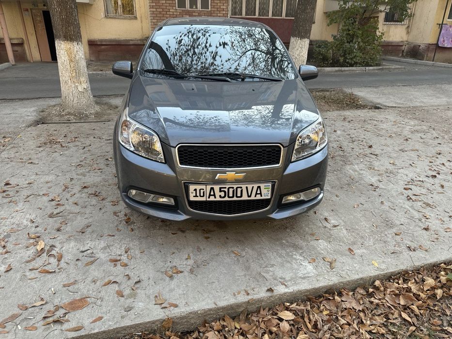 2022 yil kiraska tozza navorotlari kop gazi bor kiraska tozz