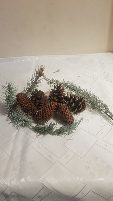 Шишарки за декорация и арт композиции