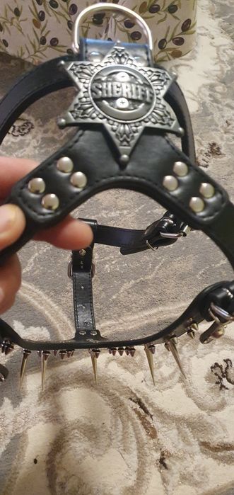 Pieptar protecție câine