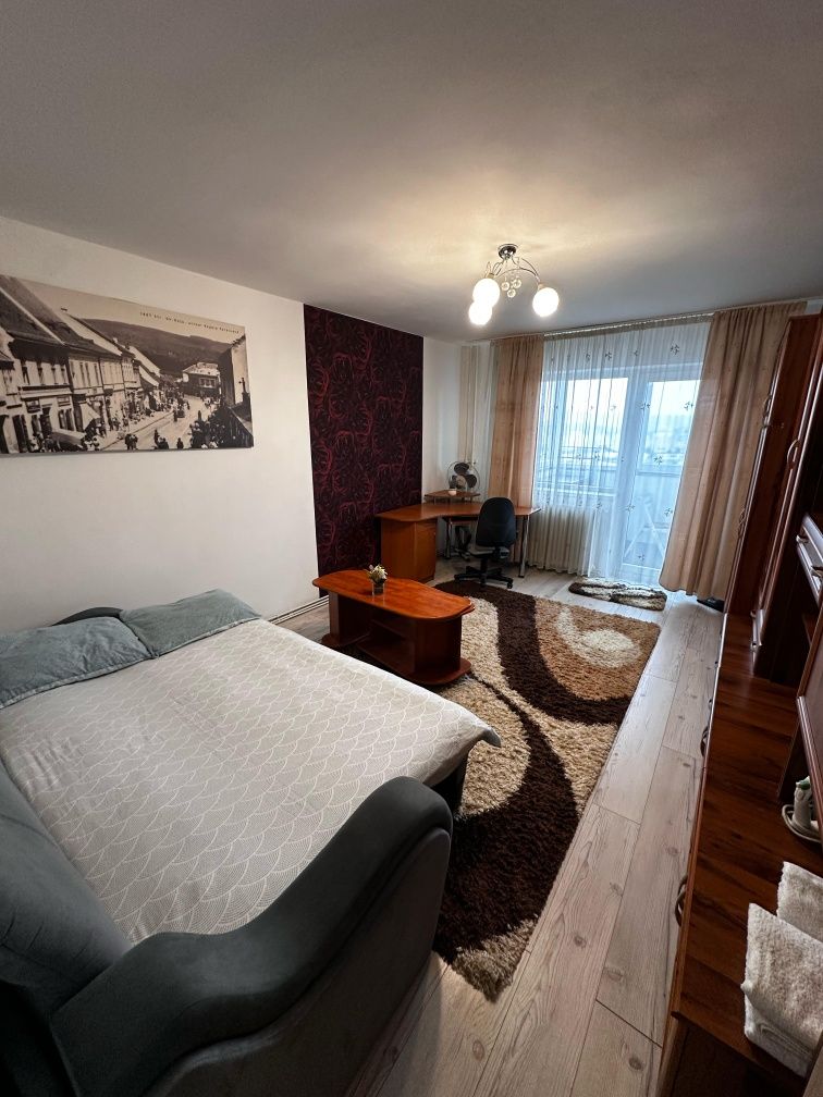 Cazare apartament, regim hotelier Cluj-Napoca