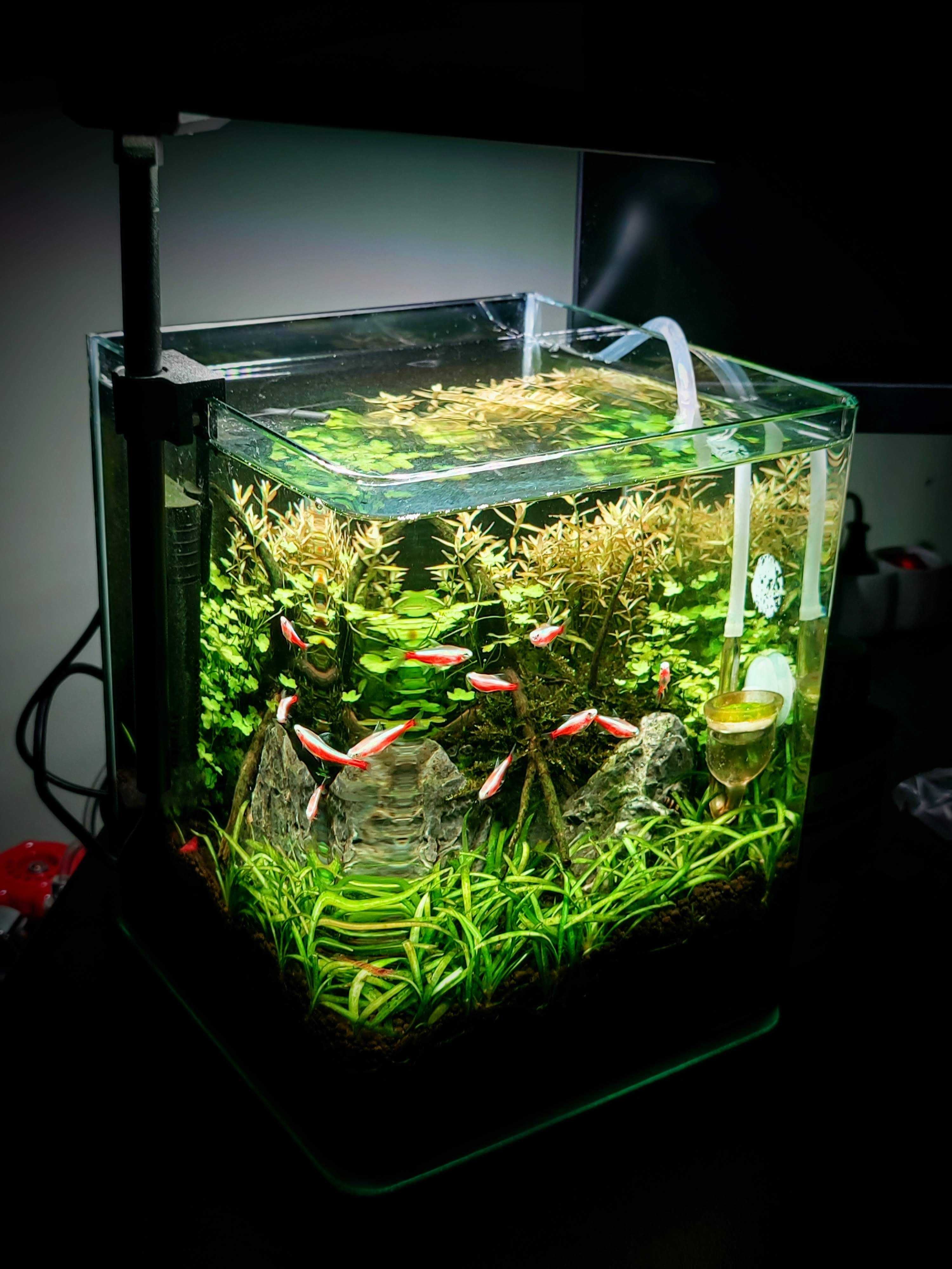 Аквариум Dennerle 10L Nano Cube + Chihiros C2 RGB Лампа + CO2 Система