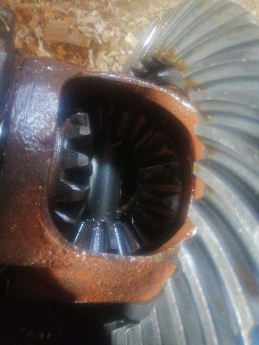 Grup spate aro 24 nou 33 cu 8 colecție