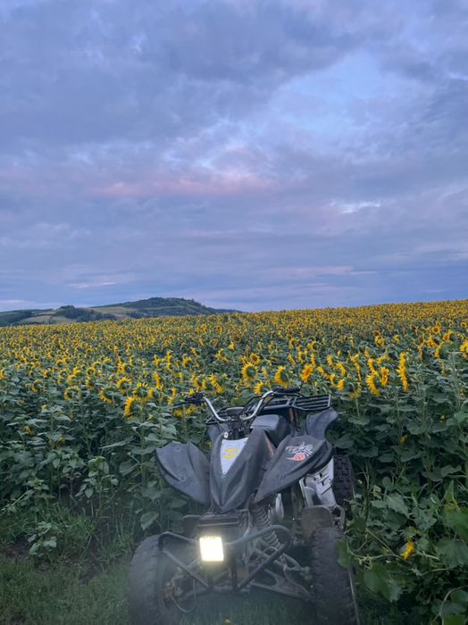 Se vinde sau fac schimb atv 300