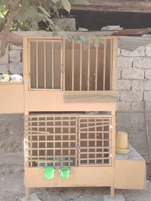 Клетка. Катак.Даканларга.ва.хоказо