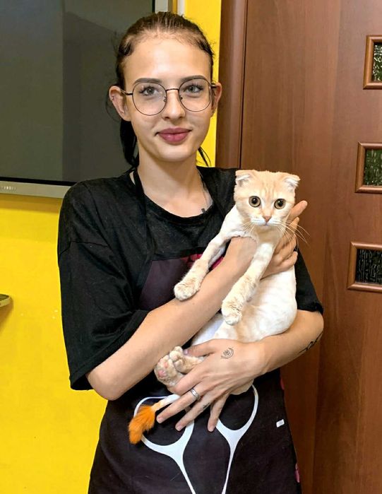 Стрижка кошек Астана Акция Груминг экспресс супер линька купание вычес