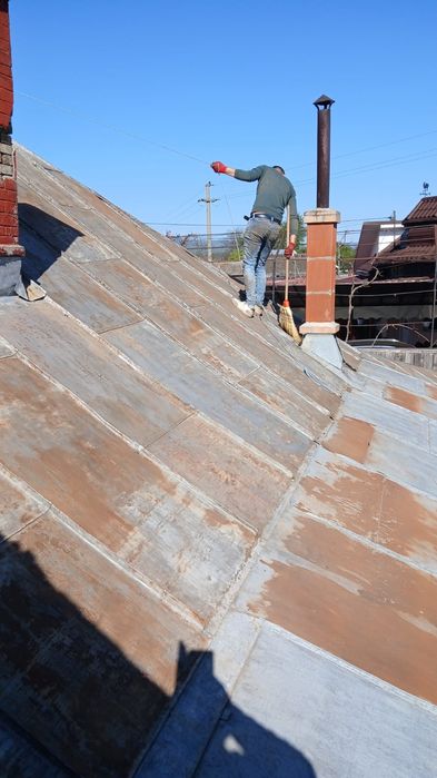 Vopsitor  profesionis  tabla pe case