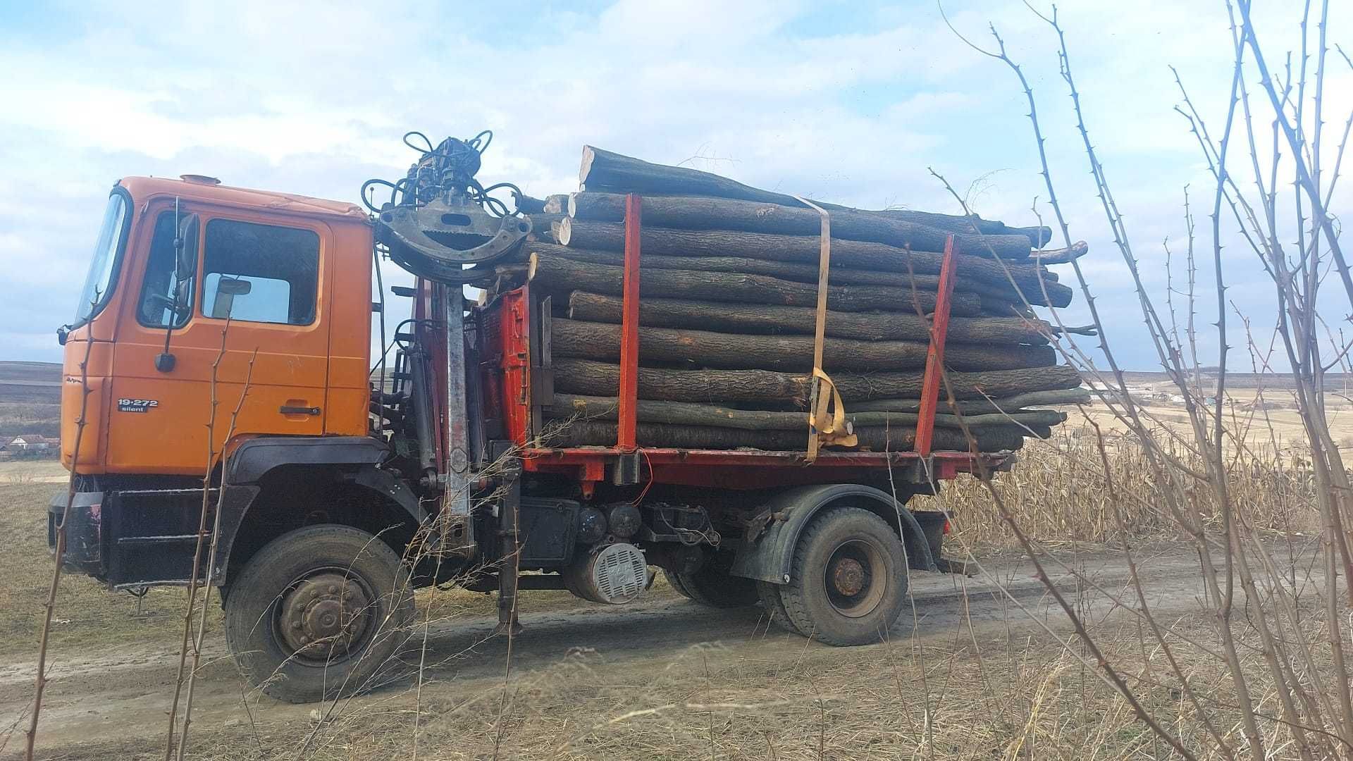 Lemn de foc, esenta tare. 1300 lei/stanjen.