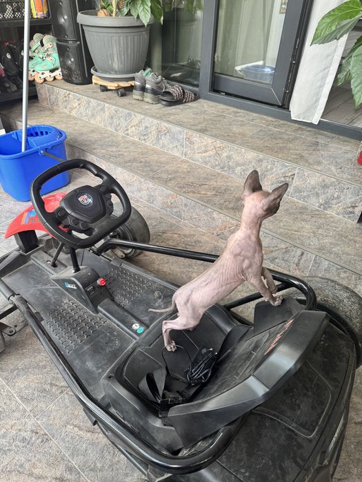 Kart electric copii