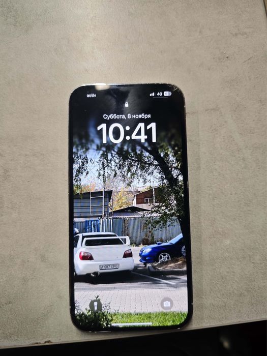 13 про макс родной