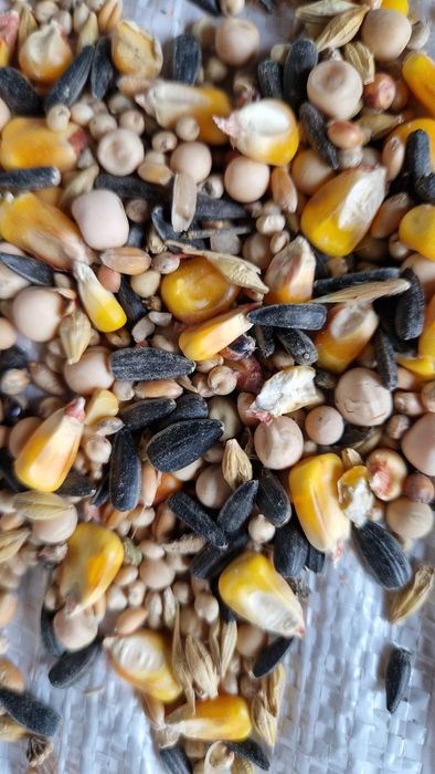 Amestec cereale pentru animale