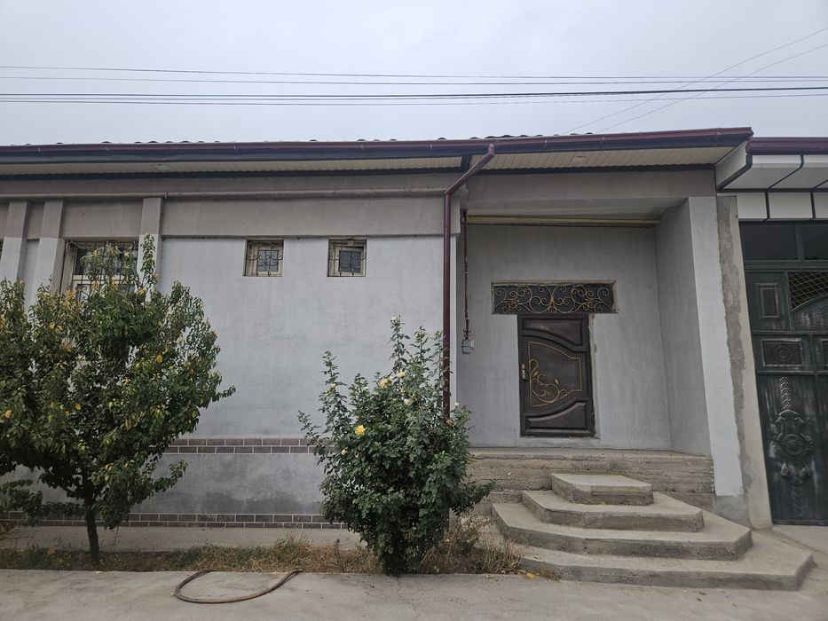 6 sotiklik uchaska yengi hayot tumanidan 1 ta yol ajratib turibdi