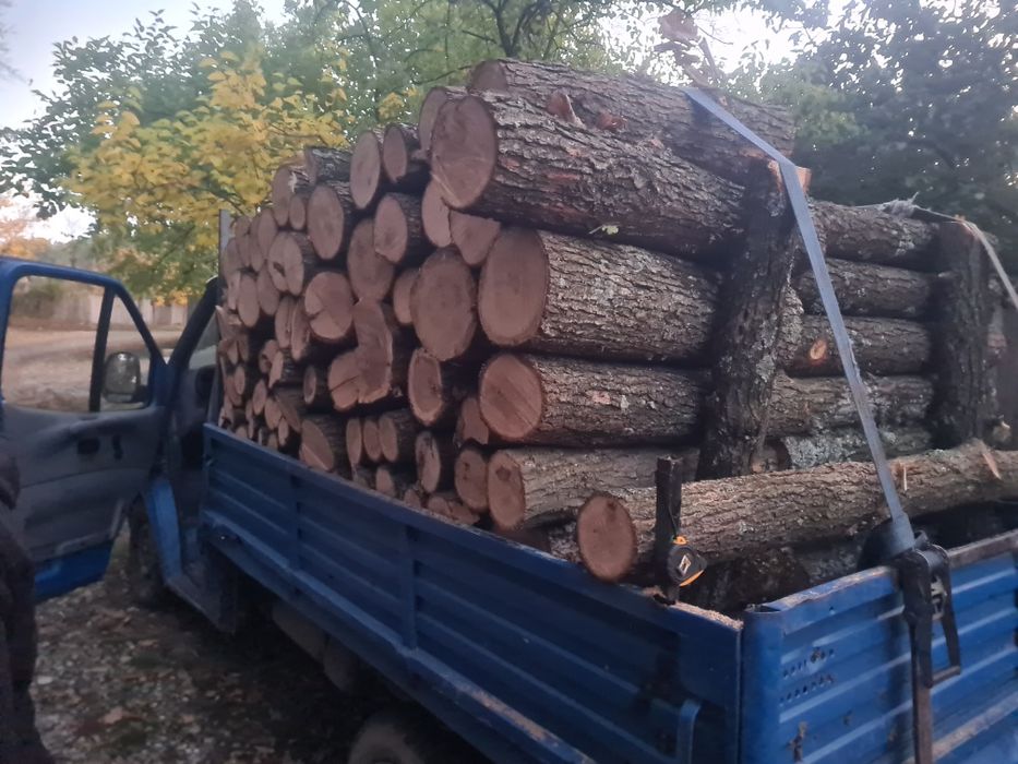 Vand lemne transport gratuit