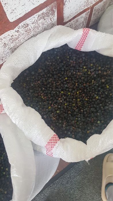 Vand boabe de ienupar