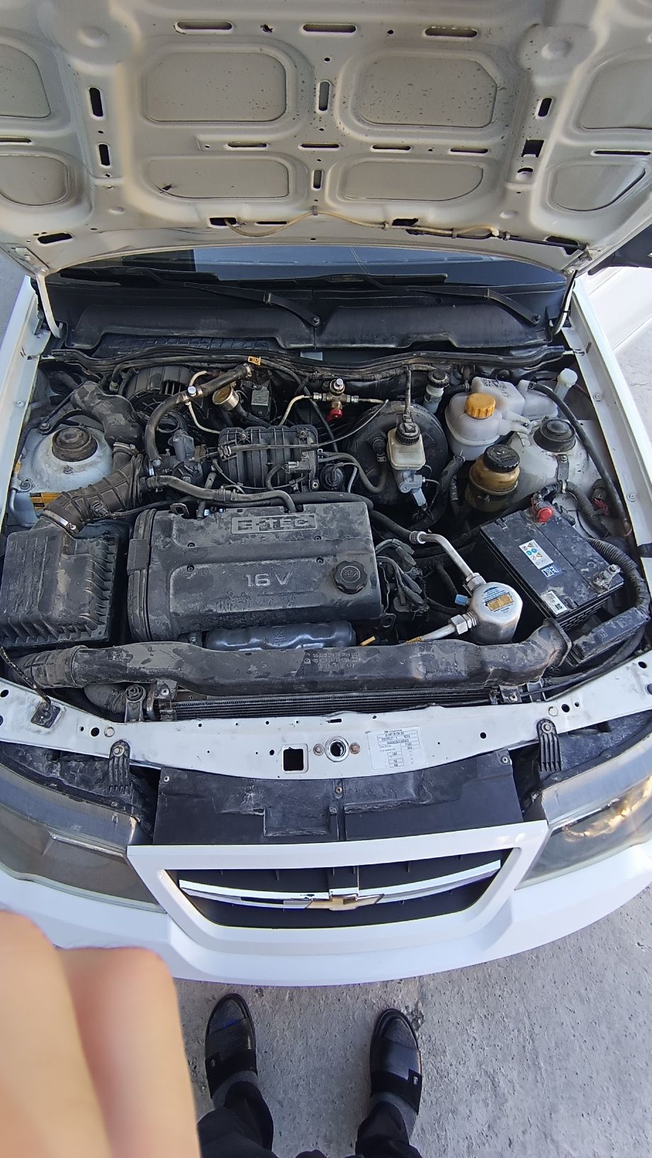 1.6l luks kanditsaner varyantga ham beriladi
