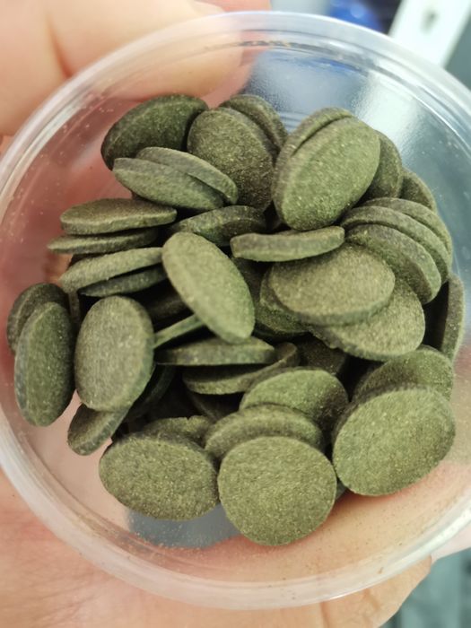 Tablete de spirulina pentru creveti ancistrusi etc.