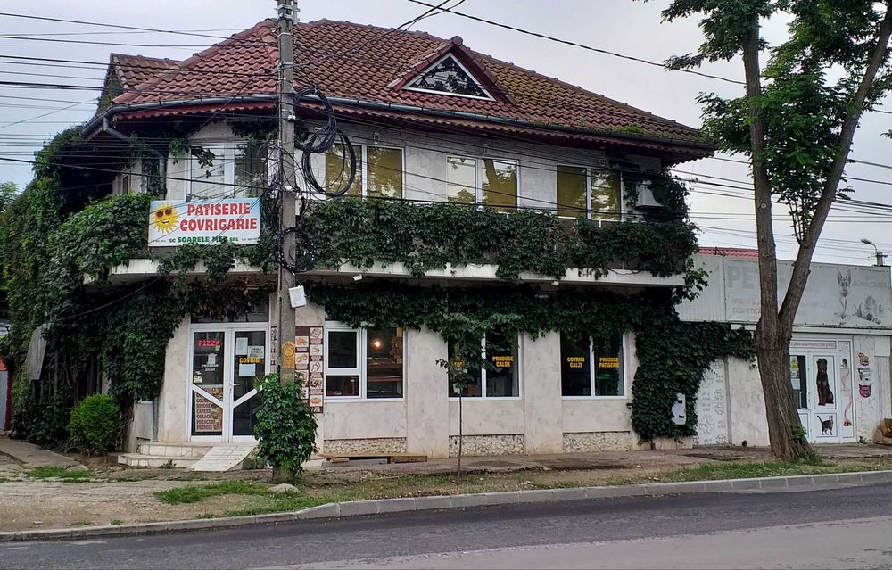 De vanzare vila cu spatii comerciale