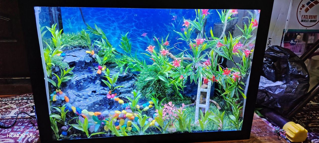 Akvarium sotiladi