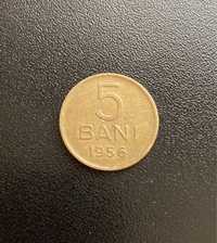 Moneda 5 Bani din 1956