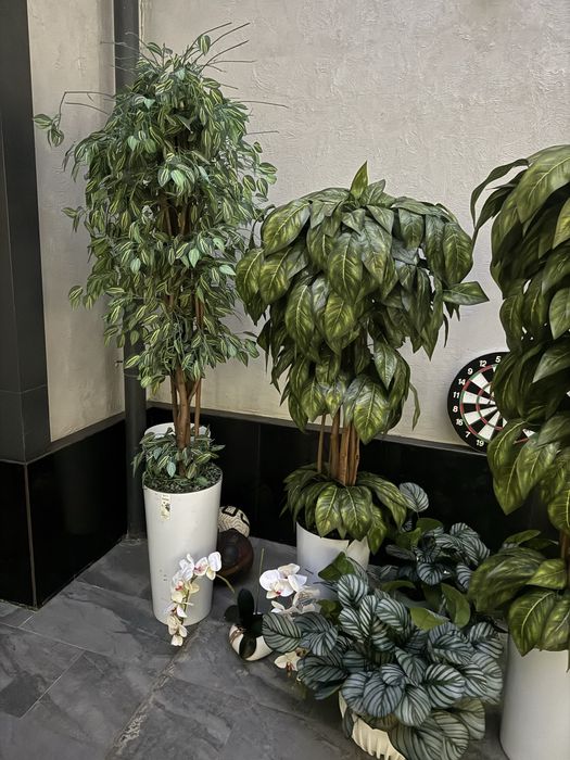 Искусственные растения, декор для дома