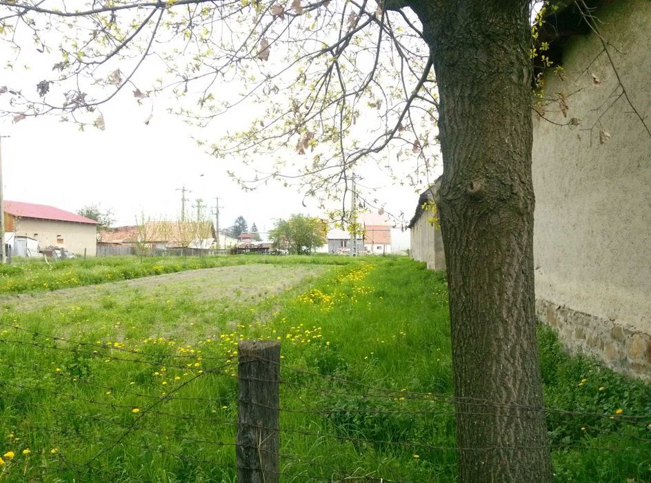 Teren intavilan de vânzare în Chichiș