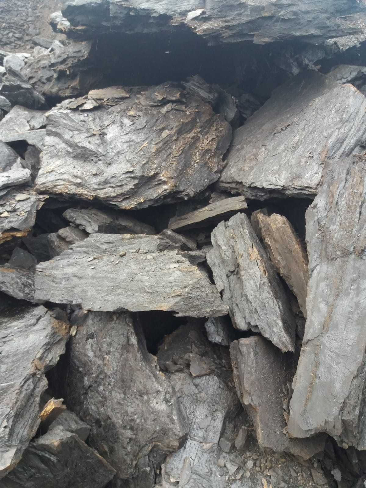 Cărbune lignit sortat