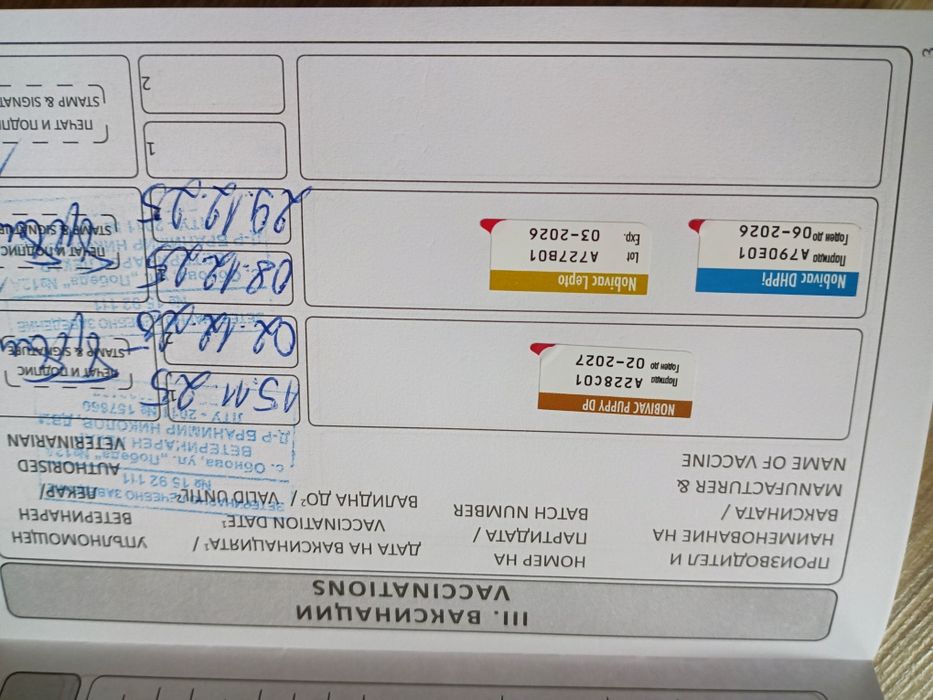 Продавам кученца Курцхаар
