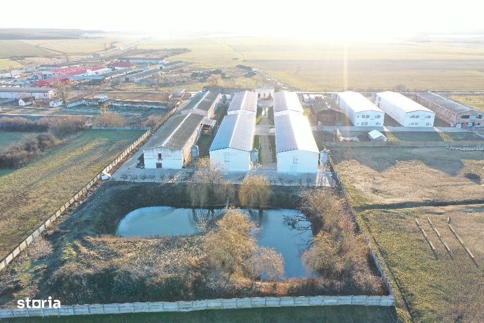 Hale de închiriat in Bihor-Nojorid-Les , depozitare-productiv-curierat