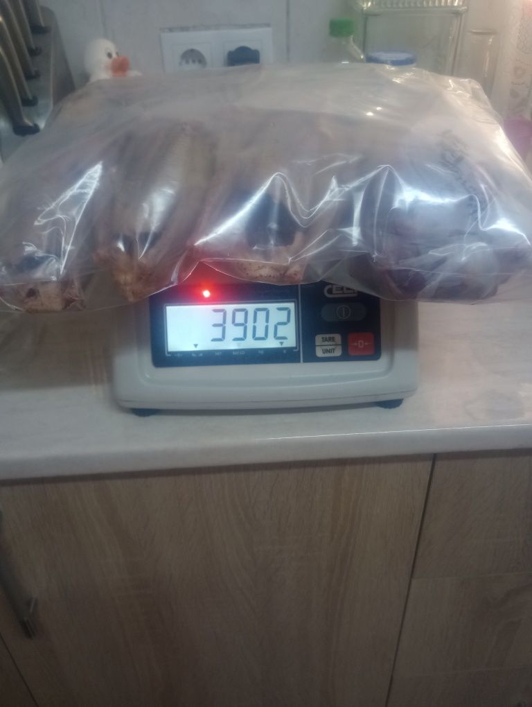 Carcasă porumbel la comanda