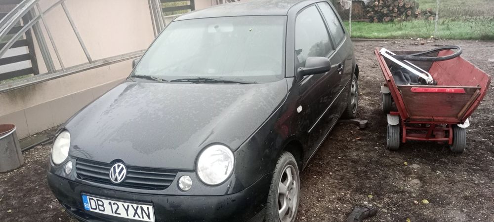 Lupo de vânzare arată bine