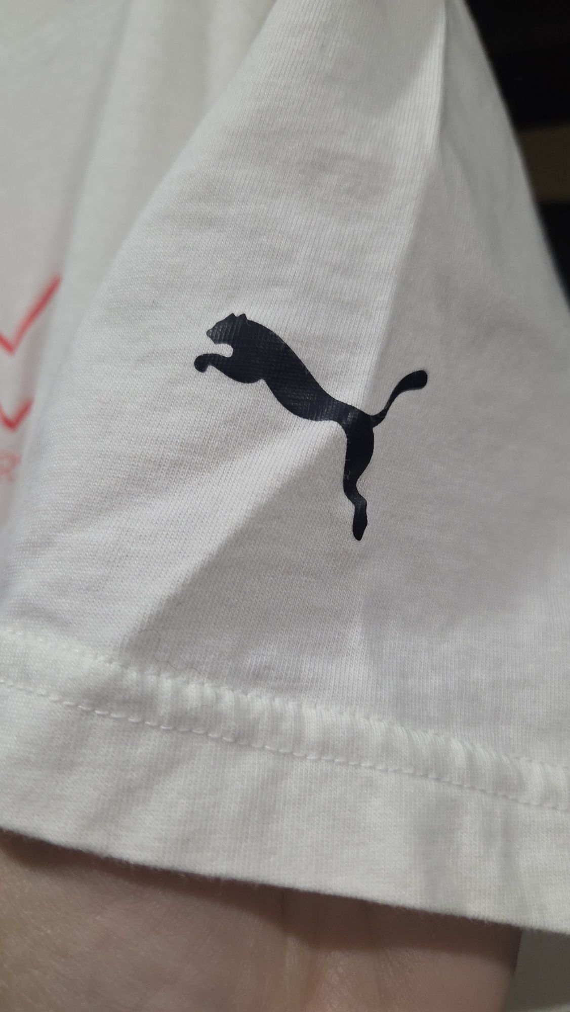 puma max verstappen Мъжка