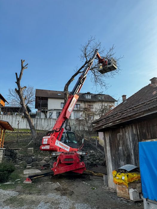 Taiere profesional a arborilor / copaci / pomi cu platforma de lucru
