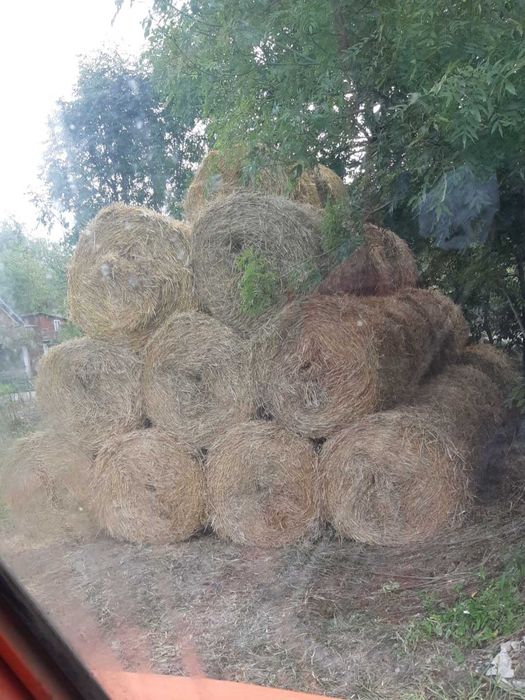 Vând baloți de lucernă, fân și paie