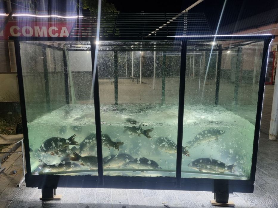 Choyxona uchun baliq akvariumi sotiladi!!!