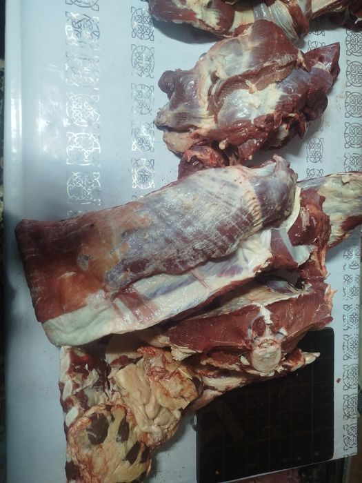 Продаётся мясо, говядины