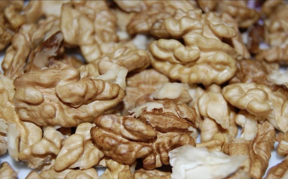 Vand miez de nuca uscat proaspat de anul acesta