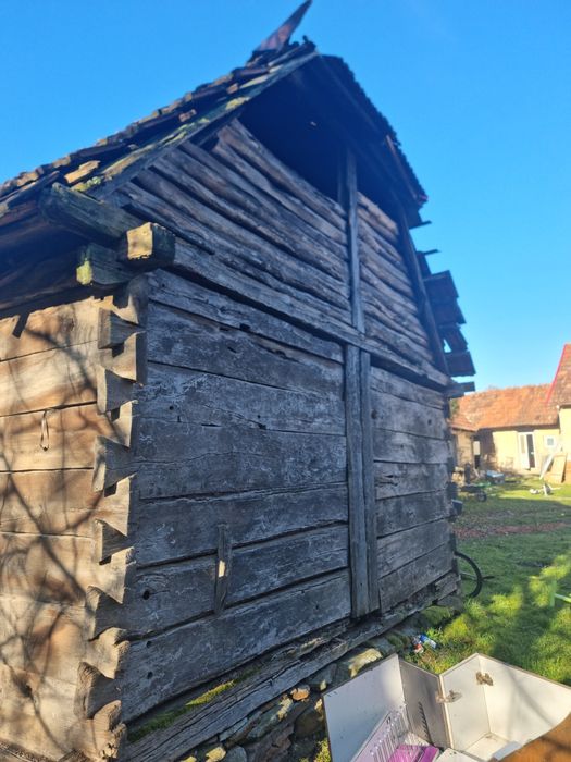 Lemn vechi sura veche lemn stejar cioplit in barda .