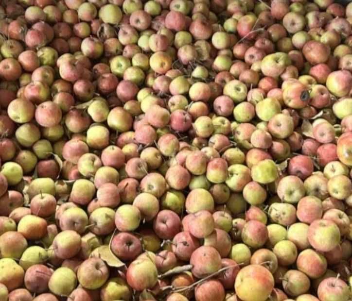 Fructe de Voinesti