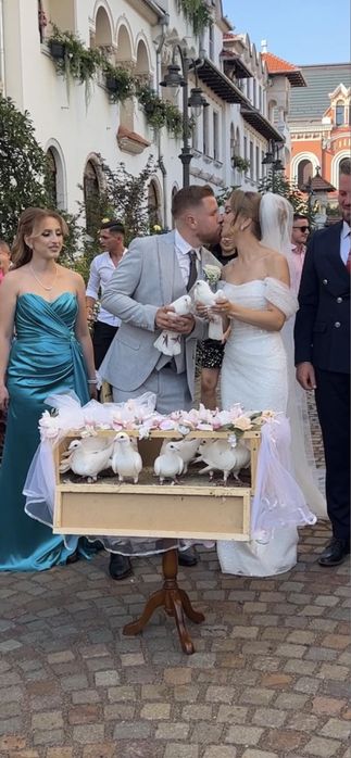 Porumbei evenimente oradea