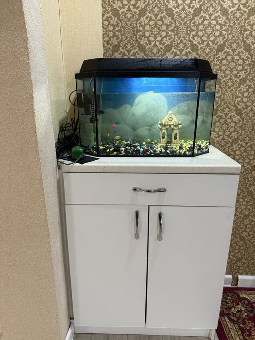 Срочно продам авкариум + тумбачка